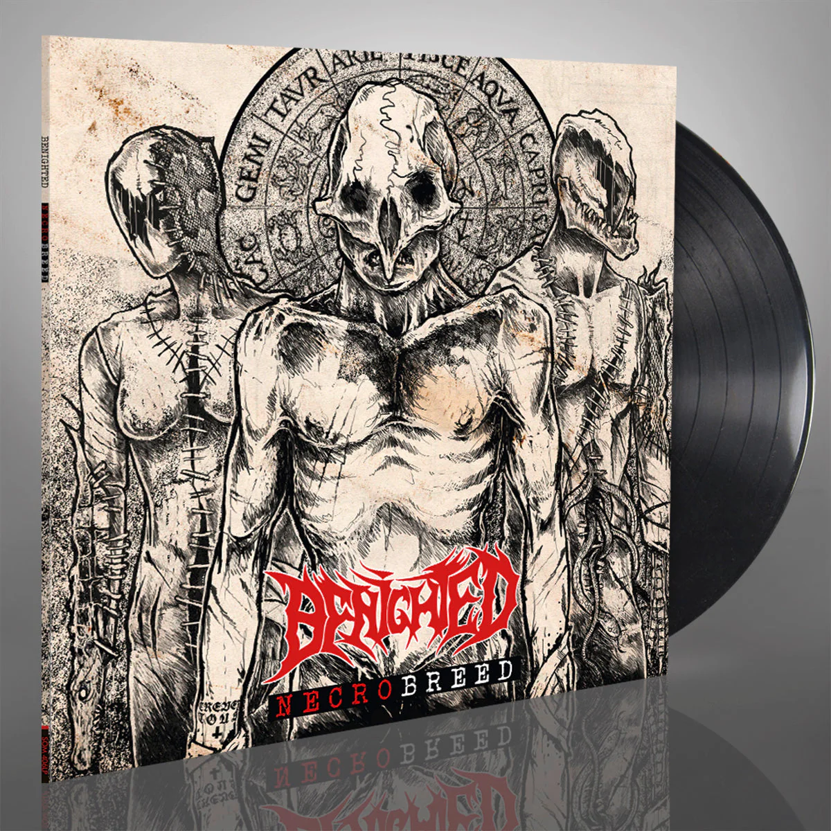 Benighted - Necrobreed Vinyl - Image 2
