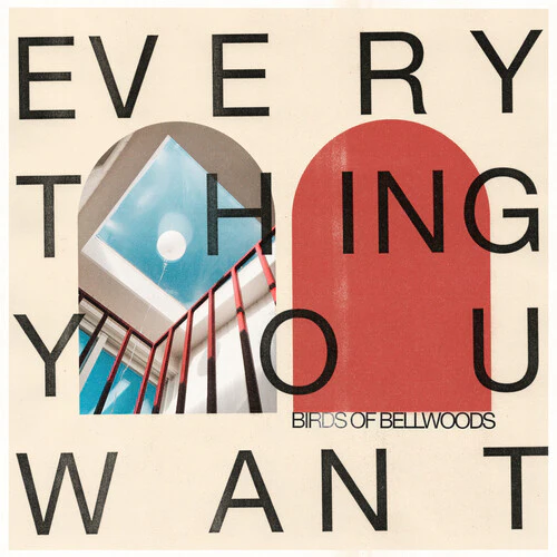 Birds of Bellwoods - Everything You Want