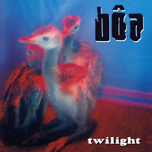 bĂ´a - Twilight
