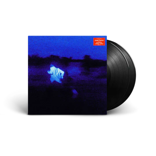 Daniel Caesar - NEVER ENOUGH [2LP] - Image 2
