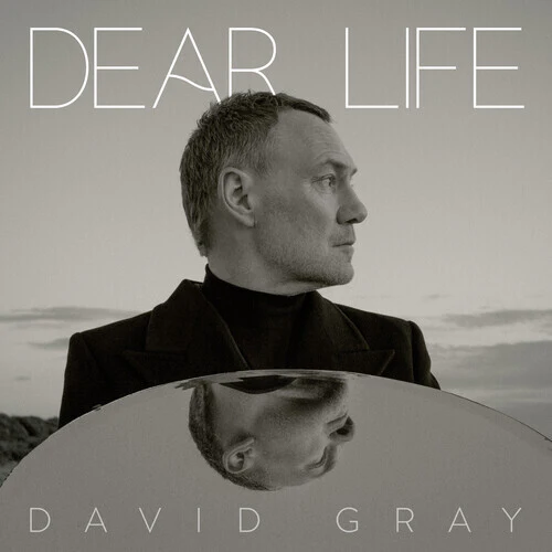 David Gray - Dear Life [2LP Seaweed Green]
