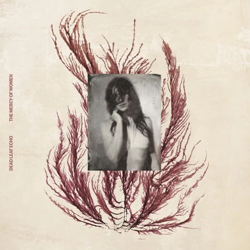 Dead Leaf Echo - The Mercy Of Women - Brown