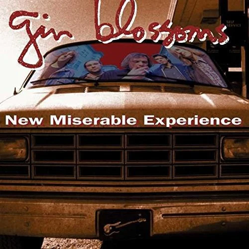 Gin Blossoms - New Miserable Experience - Image 2