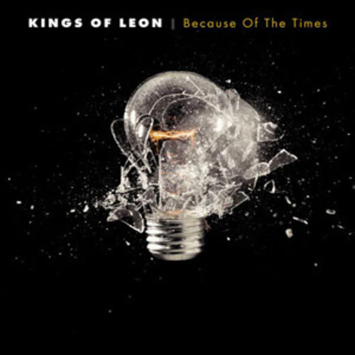 Kings of Leon - Because of the Times [2LP] - Image 2