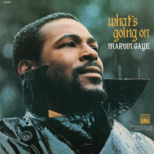 Marvin Gaye - What's Going on [180-gram] - Image 3