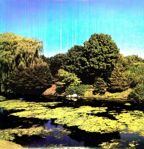 Shellac - Terraform - Image 2