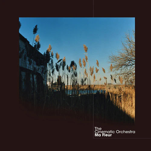 The Cinematic Orchestra - Ma Fleur - Image 2
