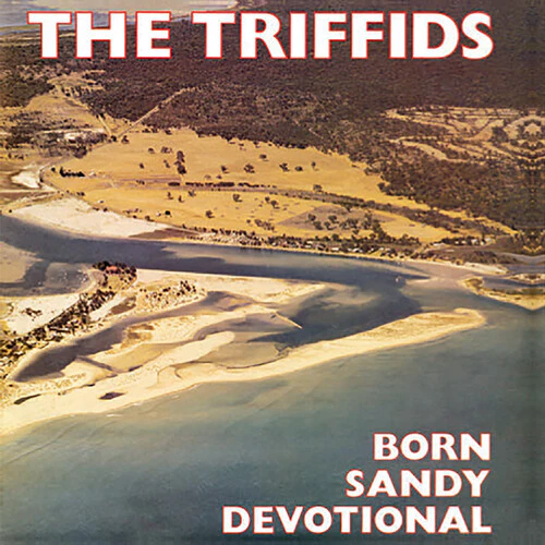 The Triffids - Born Sandy Devotional - Image 2