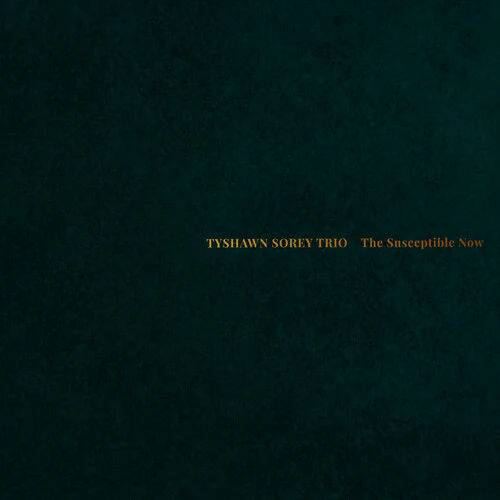 Tyshawn Sorey Trio - The Susceptible Now