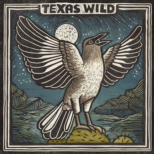Various Artists - Texas Wild (Various Artists)